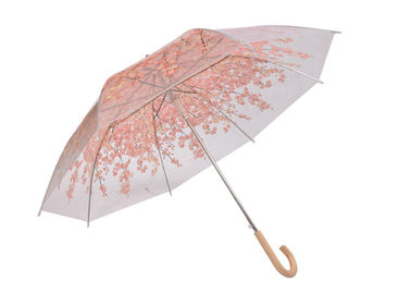 Οι μοντέρνες κυρίες οδοντώνουν τη διαφανή ομπρέλα, μεγάλη σαφής ομπρέλα θόλων