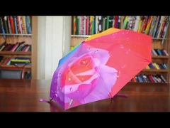 Large Automatic Compact Golf Umbrella Double Layer EVA Handle Customized Design