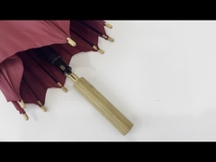 Ομπρέλα προώθησης